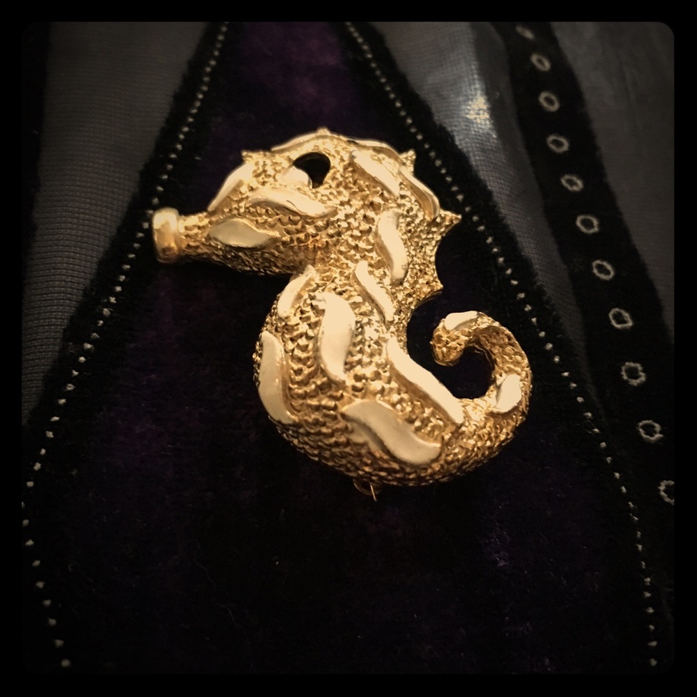 Seahorse Brooch